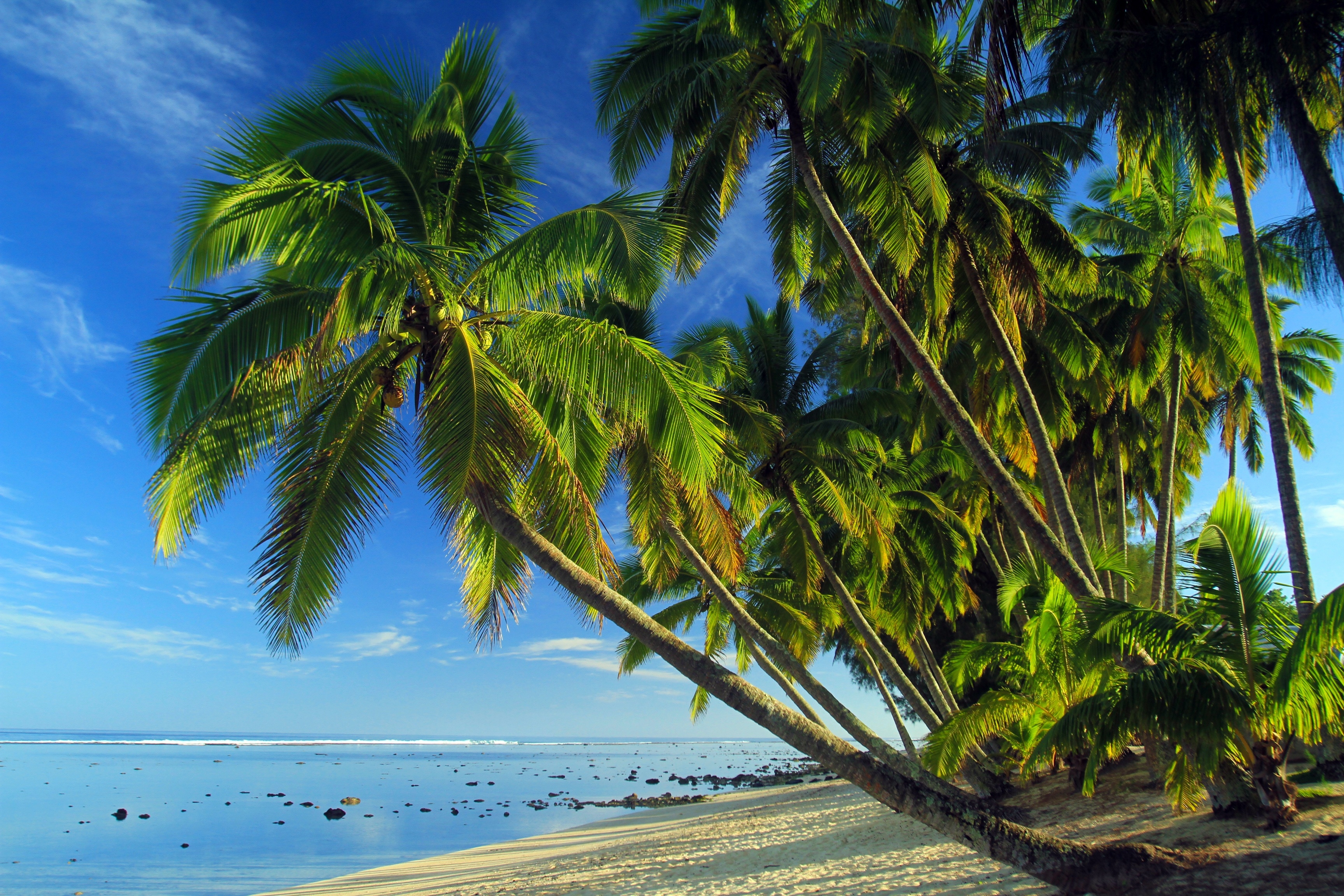 Cook Islands hero image 0